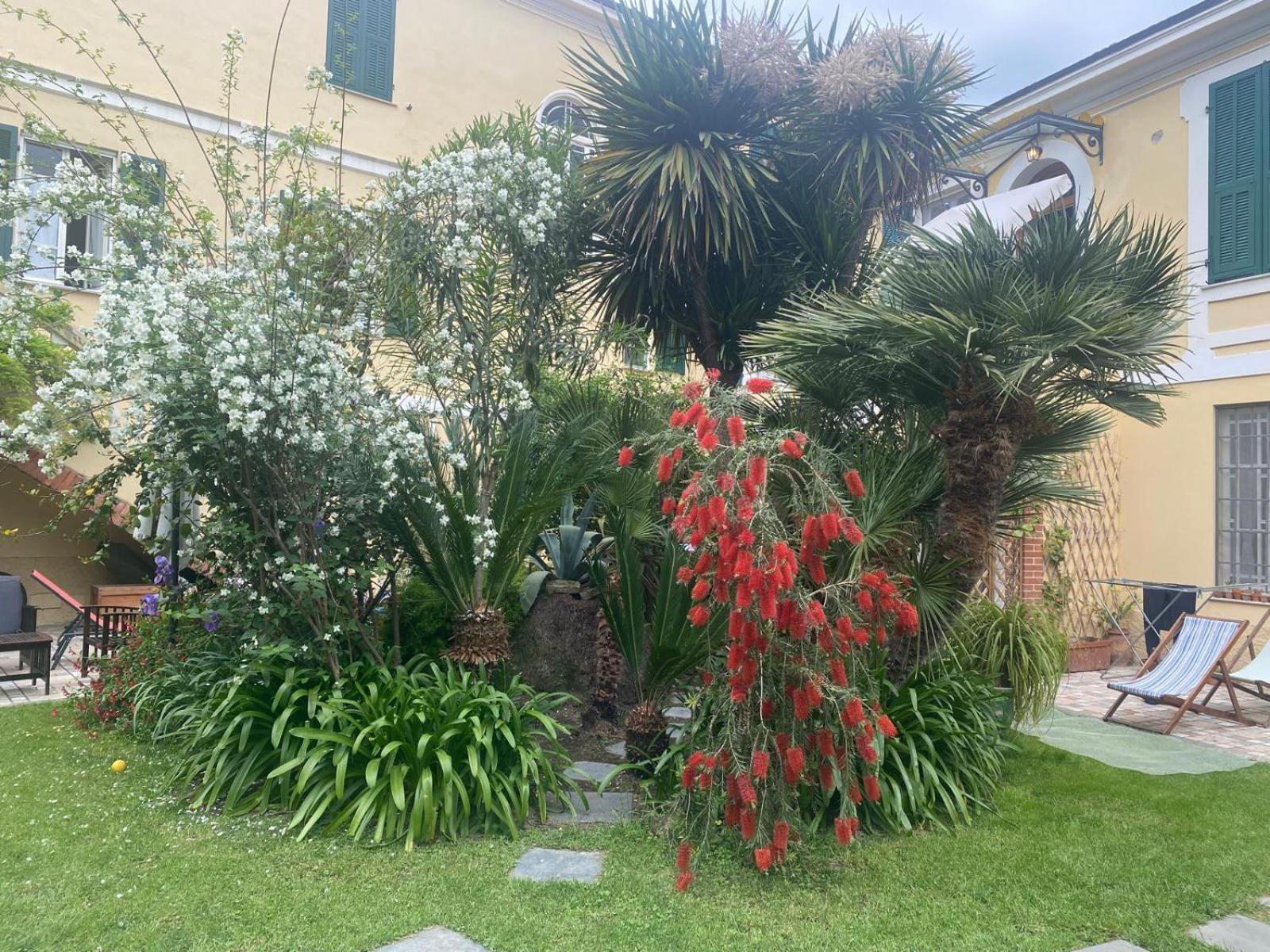 Villa Angelina - Casa Glicine Vallecrosia Exterior photo